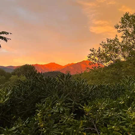 מלון דירות La Liberte *